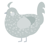 A silver chicken with a speckle pattern