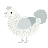 A white and silver chicken with a lace pattern