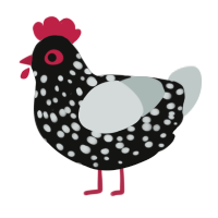 A black and silver chicken with a speckle pattern