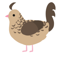 A beige and bark chicken with a half-lace pattern