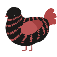 A sable and red chicken with a bar pattern