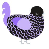 A sable and lilac chicken with a lace pattern