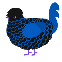 A black and ultramarine chicken with a lace pattern