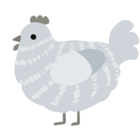 A mist chicken with a bar pattern
