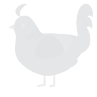 A sable chicken with a neck-speckle pattern