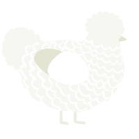 A white chicken with a lace pattern