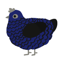 A navy and black chicken with a lace pattern