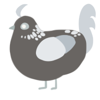 A grey and mist chicken with a neck-speckle pattern