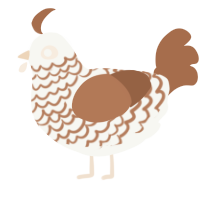 A white and brown chicken with a lace pattern