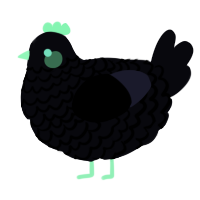 A white chicken with a lace pattern