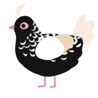 A black and cream chicken with a half-lace pattern