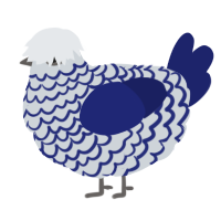 A mist and navy chicken with a lace pattern