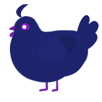 Moonlight, a navy chicken with a half-lace pattern