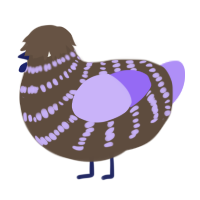 A bark and lilac chicken with a bar pattern