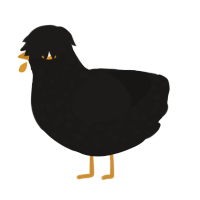 A sable chicken with a speckle pattern