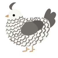 A white and grey chicken with a lace pattern