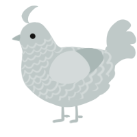 A silver chicken with a lace pattern