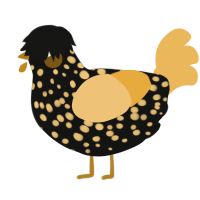 A black and honey chicken with a speckle pattern