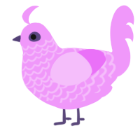 Lacey, a lavender chicken with a lace pattern