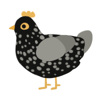 A black and ash chicken with a speckle pattern