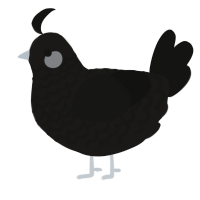 A sable and black chicken with a lace pattern
