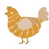 A orange and beige chicken with a bar pattern