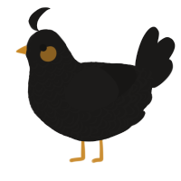 A sable chicken with a double-lace pattern