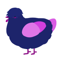 A navy and orchid chicken