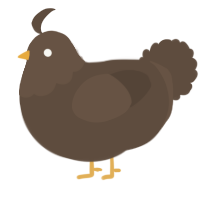 A bark chicken with a head pattern