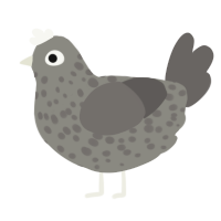 a suspicious pebble, a ash and grey chicken with a speckle pattern