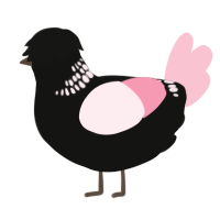 A black and rose chicken with a neck-band pattern