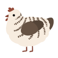 A cream and bark chicken with a half-bar pattern