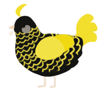 A black and yellow chicken with a lace pattern