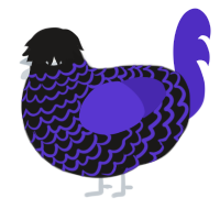 A sable and indigo chicken with a lace pattern