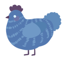 A ultramarine and sapphire chicken with a bar pattern