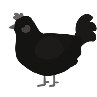 Roland, a black and sable chicken