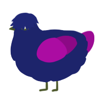 A navy and plum chicken