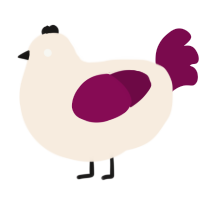 A cream and wine chicken