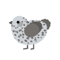 A mist and grey chicken with a speckle pattern