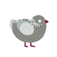 A ash and silver chicken with a neck-speckle pattern