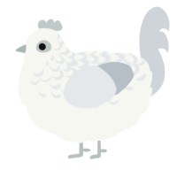 A white and mist chicken with a half-lace pattern