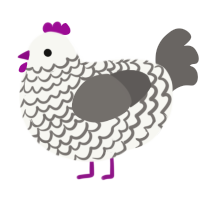 A white and grey chicken with a lace pattern