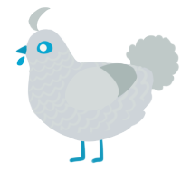 A mist and silver chicken with a lace pattern