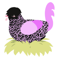 A black and lavender chicken with a double-lace pattern