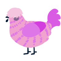 A pink and orchid chicken with a bar pattern