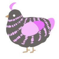 A grey and lavender chicken with a bar pattern