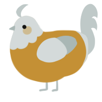 Melwynn, a gold and silver chicken with a head pattern