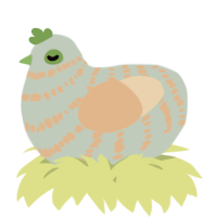 A russet and sapphire chicken with a bar pattern