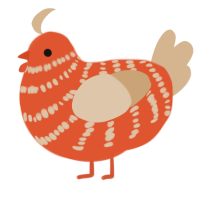 A vermilion and beige chicken with a bar pattern