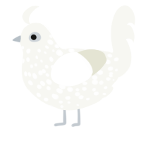 피와 살, a white chicken with a head pattern